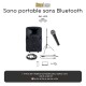 Location Sono portable 250w 