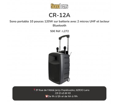 LOCATION Sono portable 250w + 2 micro HF.