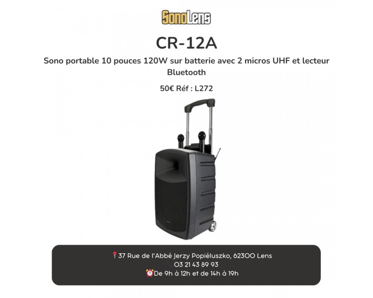 LOCATION Sono portable 250w + 2 micro HF.