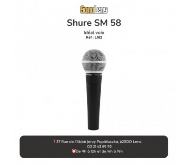 Location Micro Shure SM 58
