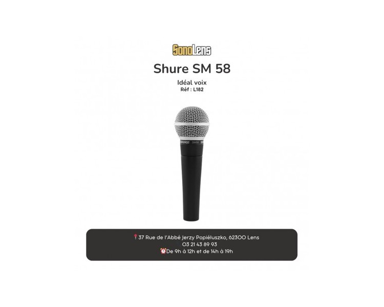 Location Micro Shure SM 58