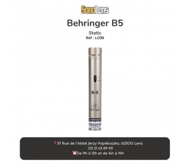 Location Micro Behringer B5