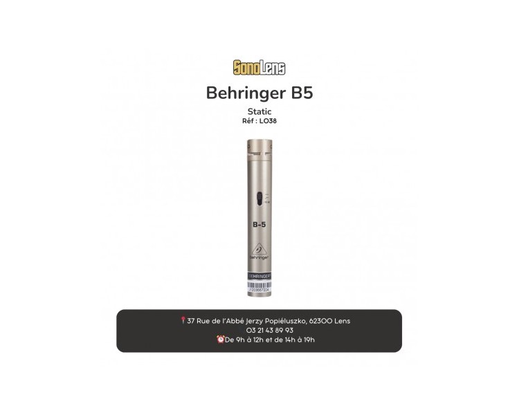 Location Micro Behringer B5
