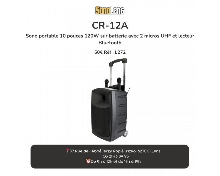 LOCATION Sono portable 250w + 2 micro HF.