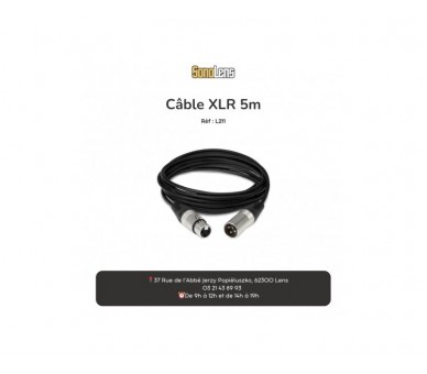 Location câble XLR 5m
