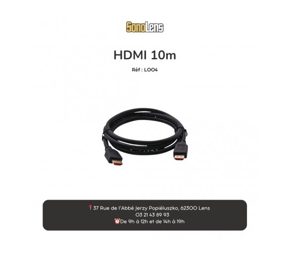 Location câble HDMI 10m